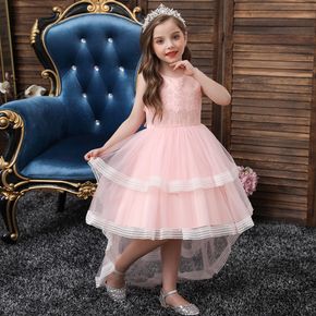 Kid Girl Floral Embroidered Bowknot Design Sleeveless High Low Princess Costume Party Tulle Dress